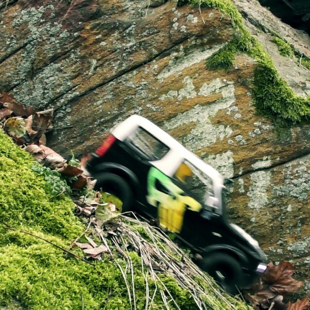 On a wood land trial with my Jimny