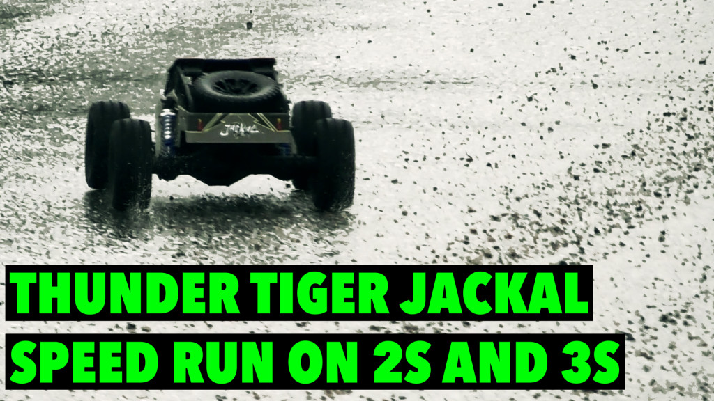 Thunder Tiger Jackal