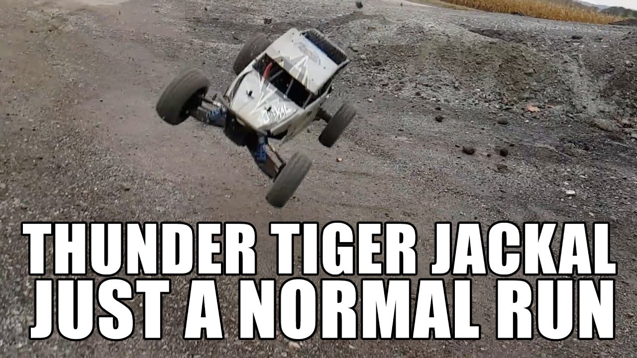 Thunder Tiger Jackal - just a normal run